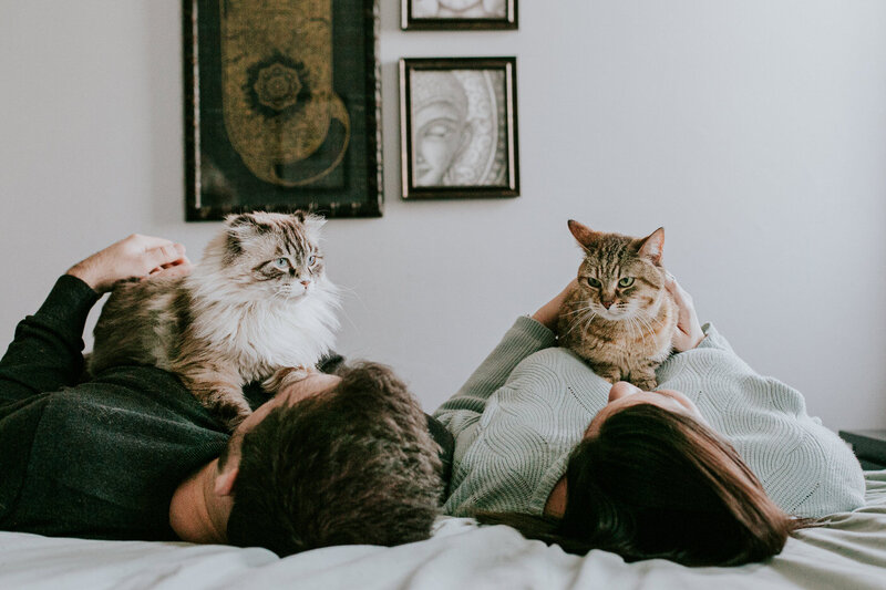 couple on bed with their two cats on their chests cute engagement moment 