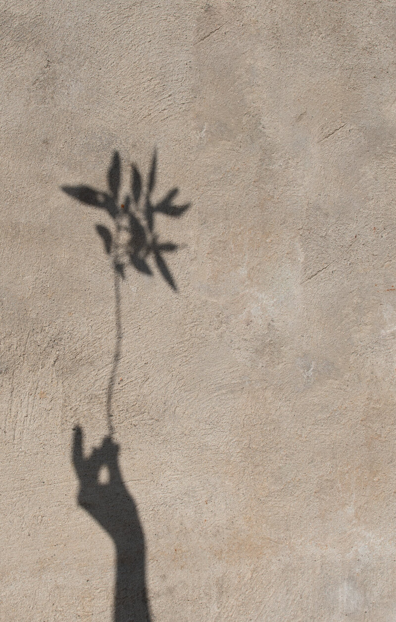 haute-stock-photography-subscription-textured-collection-final-1