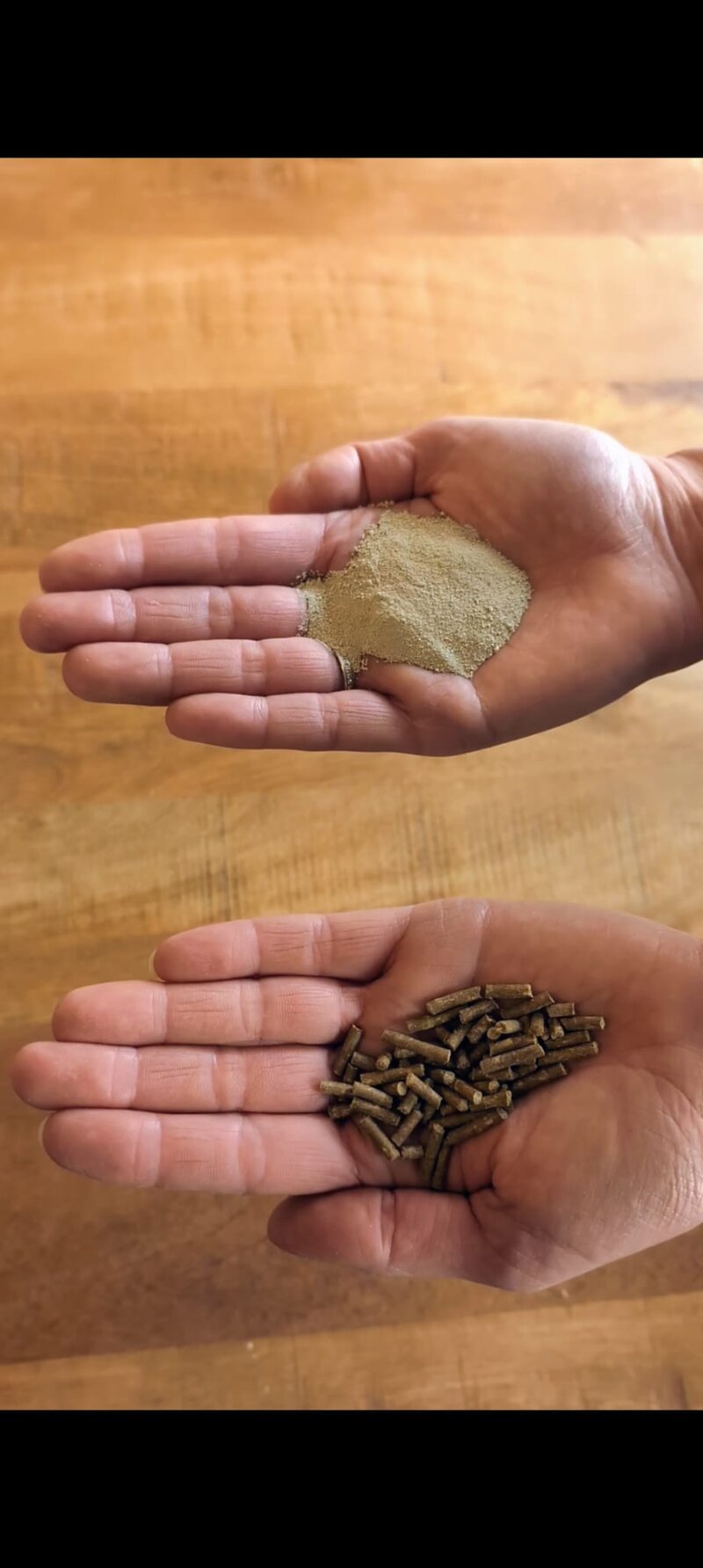 Supplement voor paarden met maagzweren, gevoelige buik bij aanraken.