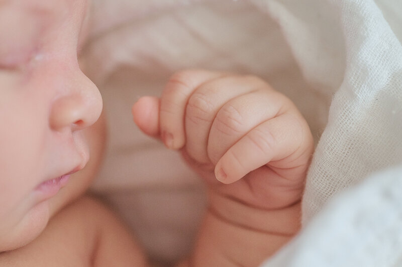 close up of baby's hand by baltimore newborn photographer