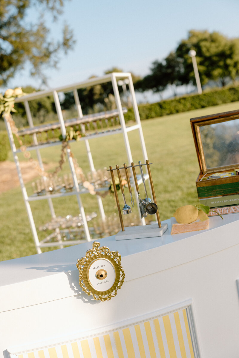 Katelyn Bradley Photography | Chatuea St Jean Napa Wedding228