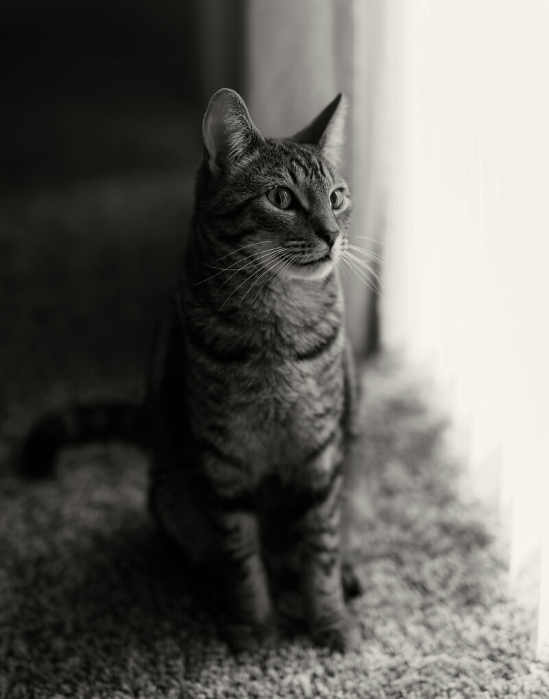 BWPrint2