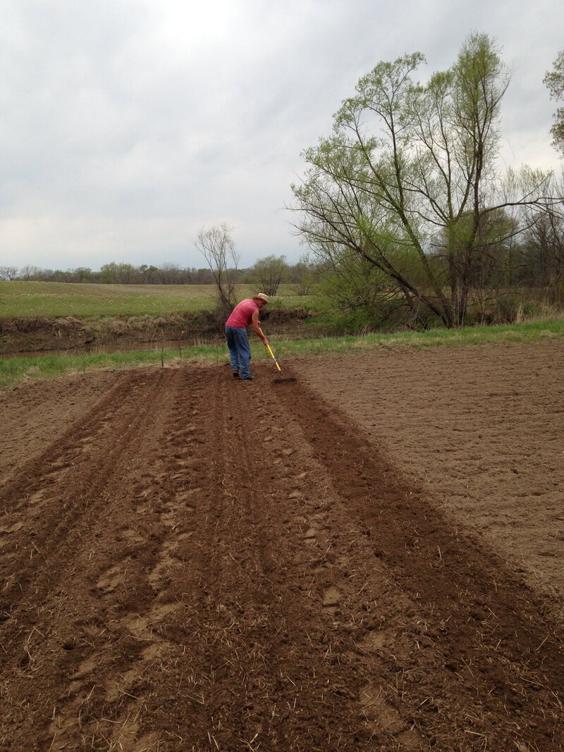farmer-raking-field