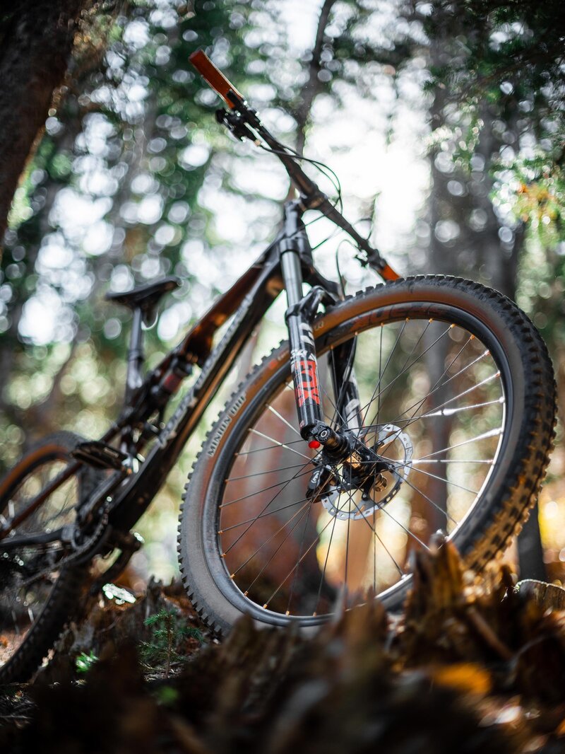MTB_RAM_1UP-(20-of-27)