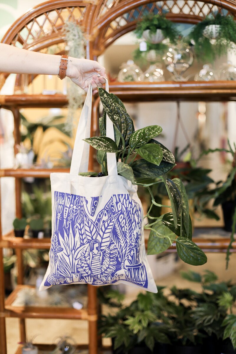 plant hanging out of bag