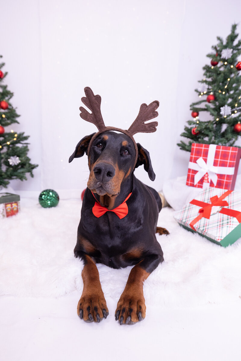 Elegant rustic wedding