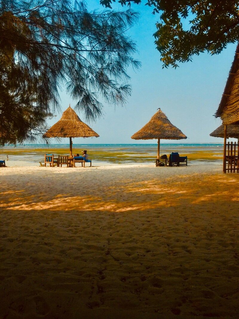Beachfront view in Tanzania with thatched umbrellas and lounge chairs at sunset