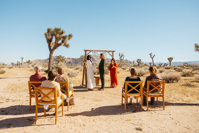 Joshua tree photographer