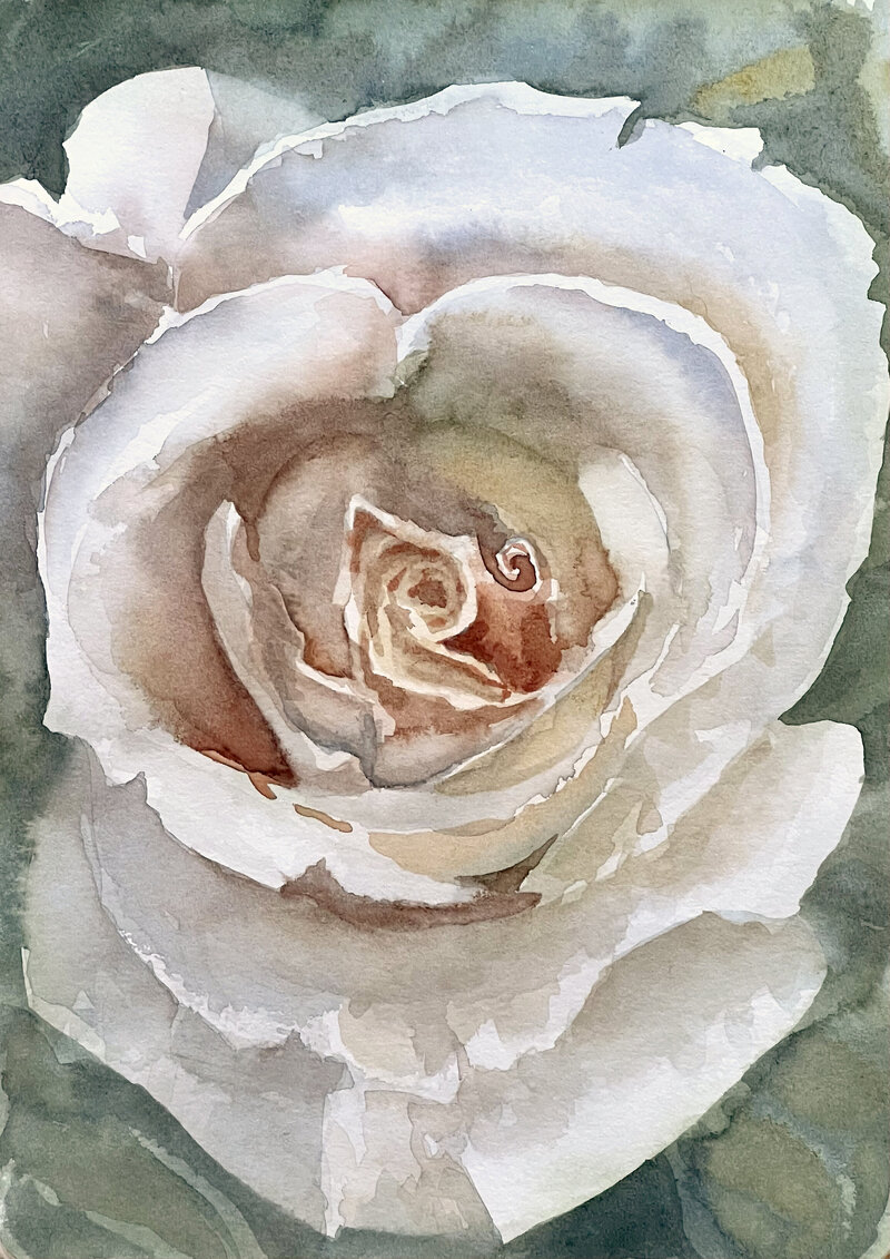 Gustavis-watercolor-demo-tutorial-White-Rose