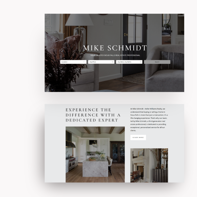 Custom real estate website design for Mike Schmidt Real Estate showcasing listings and brand