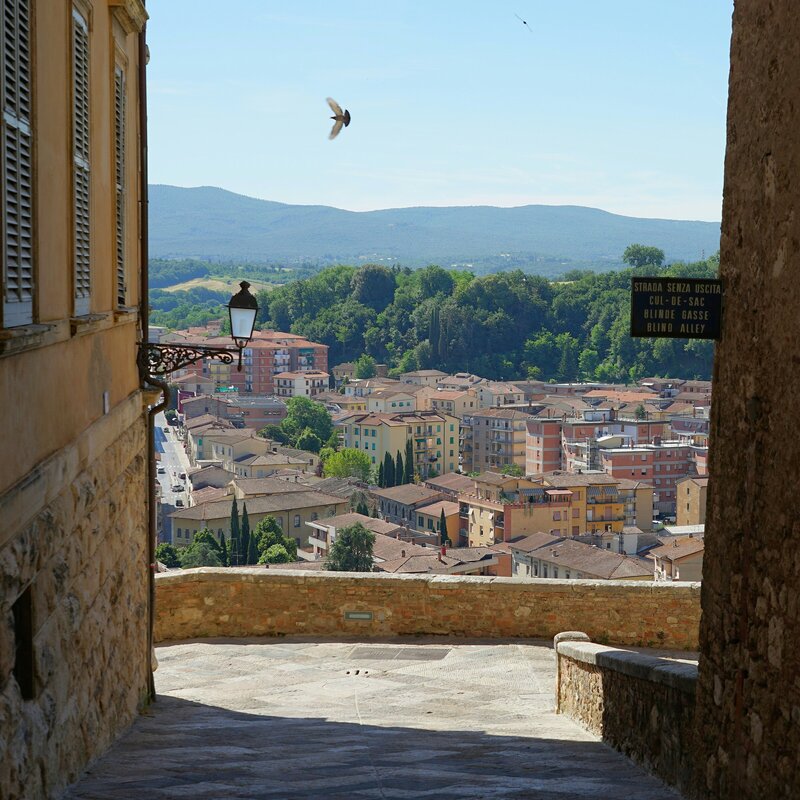 View through a stone alleyway overlooking a colorful Italian hill town surrounded by green hills, with a bird in mid-flight and a vintage streetlamp in the foreground.