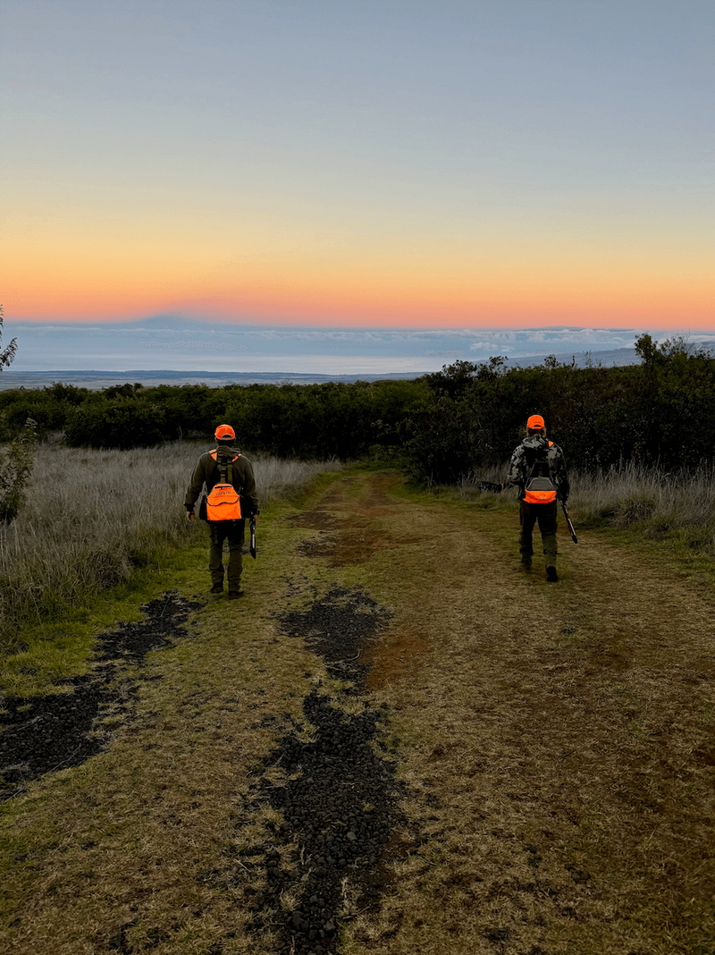 Hunter Ainsle and Kai Haugland, Laelae Development founders, hunting in Hawaii at sunrise