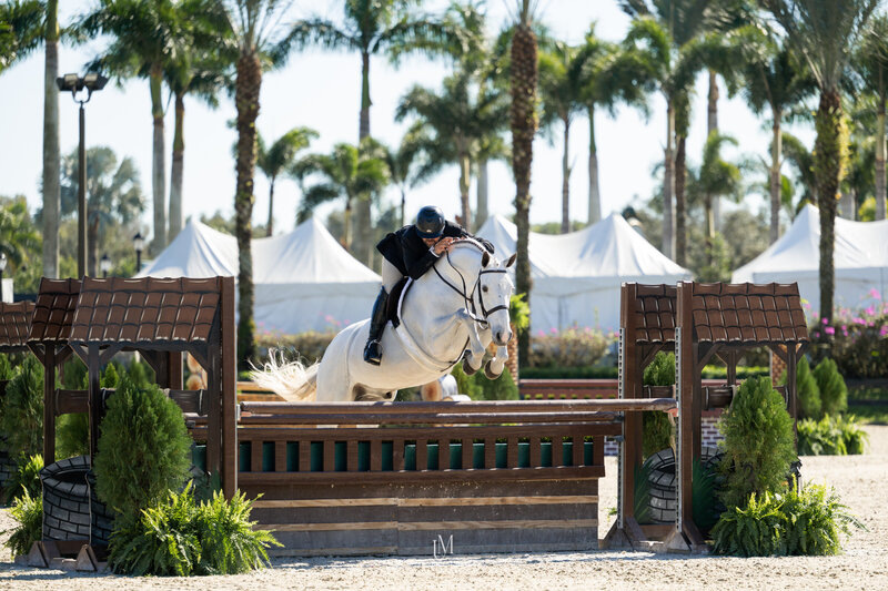 Unbridled MediaAAM_8928