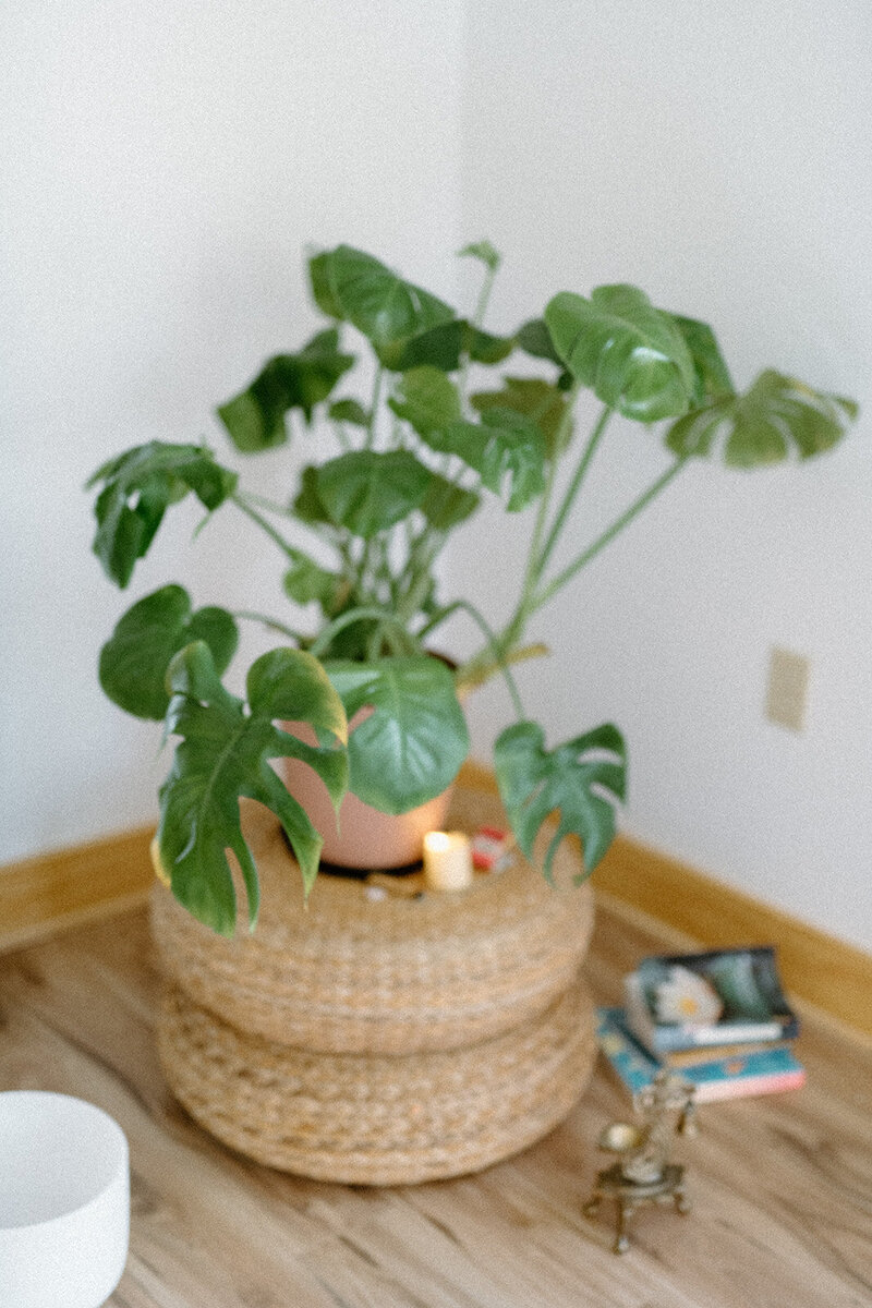 Potted plant sitting on a cushion next to books and a candle at Alyn Wellness Studio