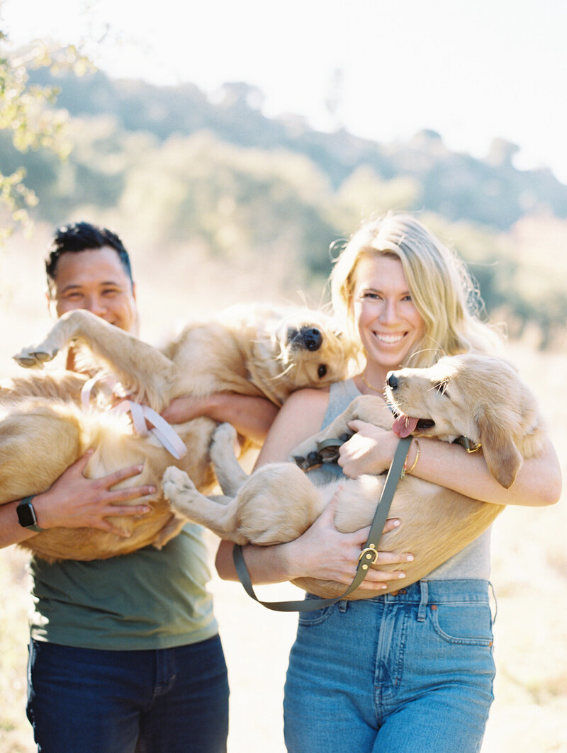 a couple and their very silly dogs in their arms