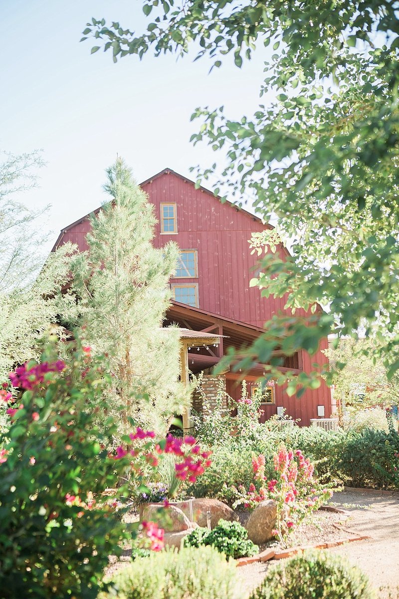 Tomasek_Krause_Wedding_0116