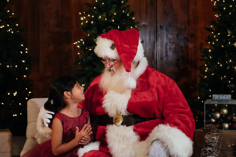 pictures-with-santa-lynnet-perez-photography-0062
