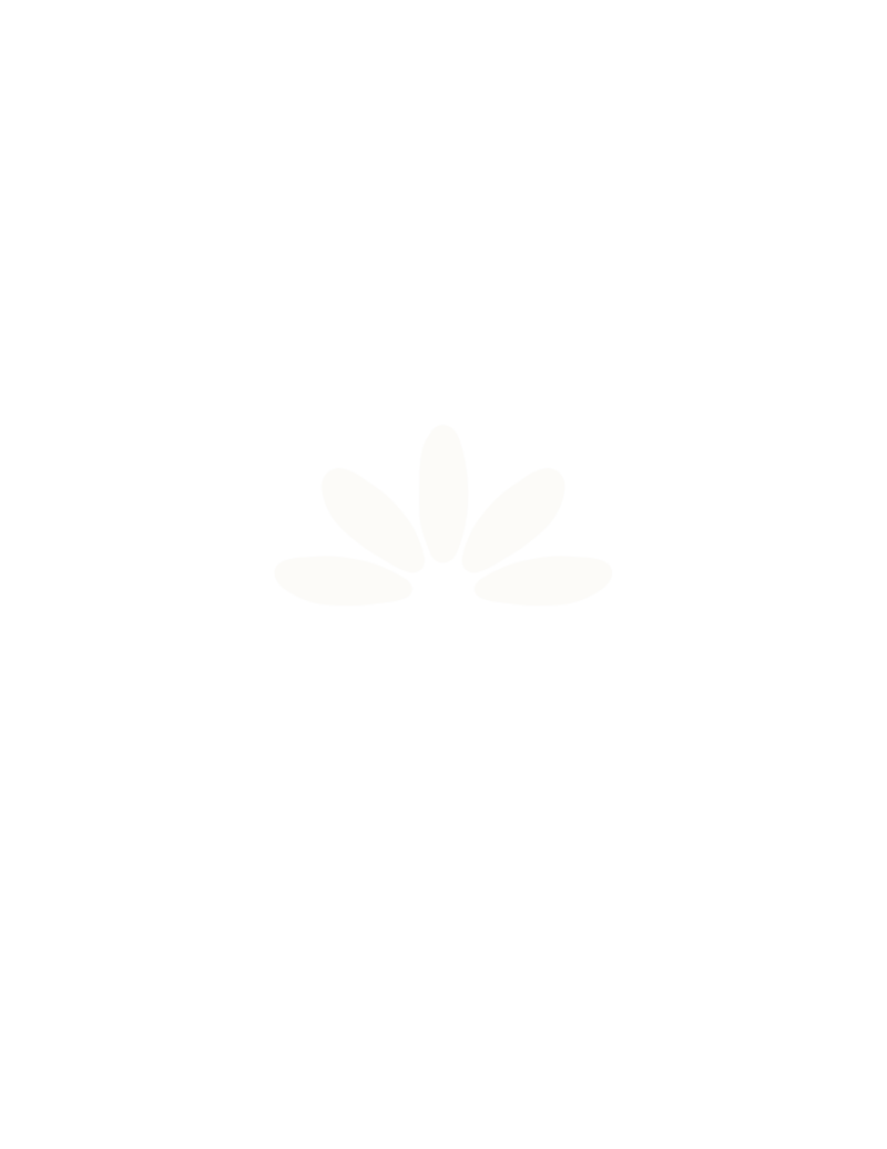 Abstract white petal and sunburst logo icon for Erica Taylor Wellness, symbolizing natural energy, warmth, and holistic wellness for moms.