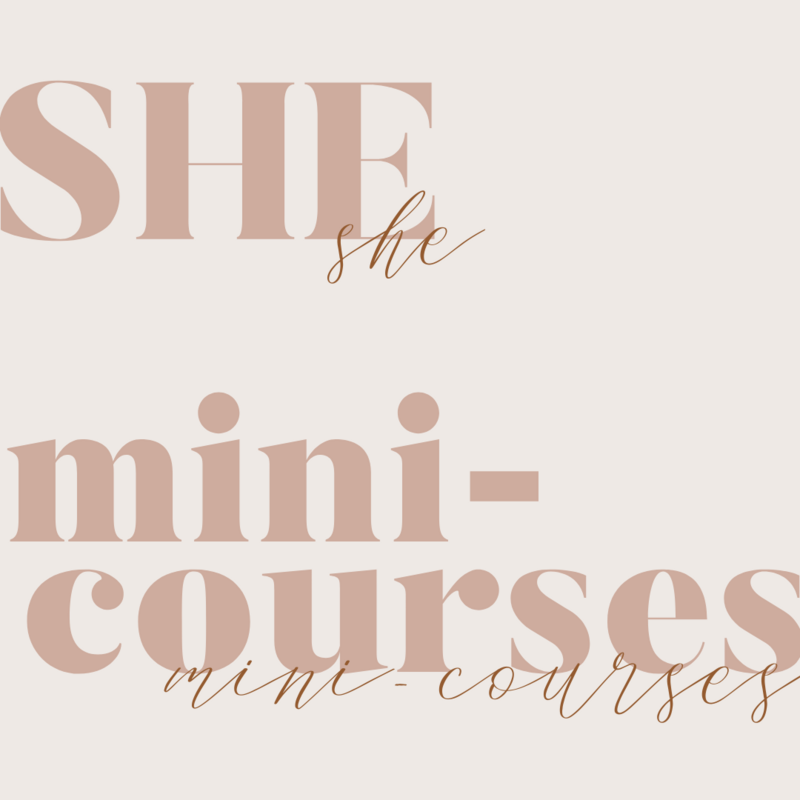 mini-courses