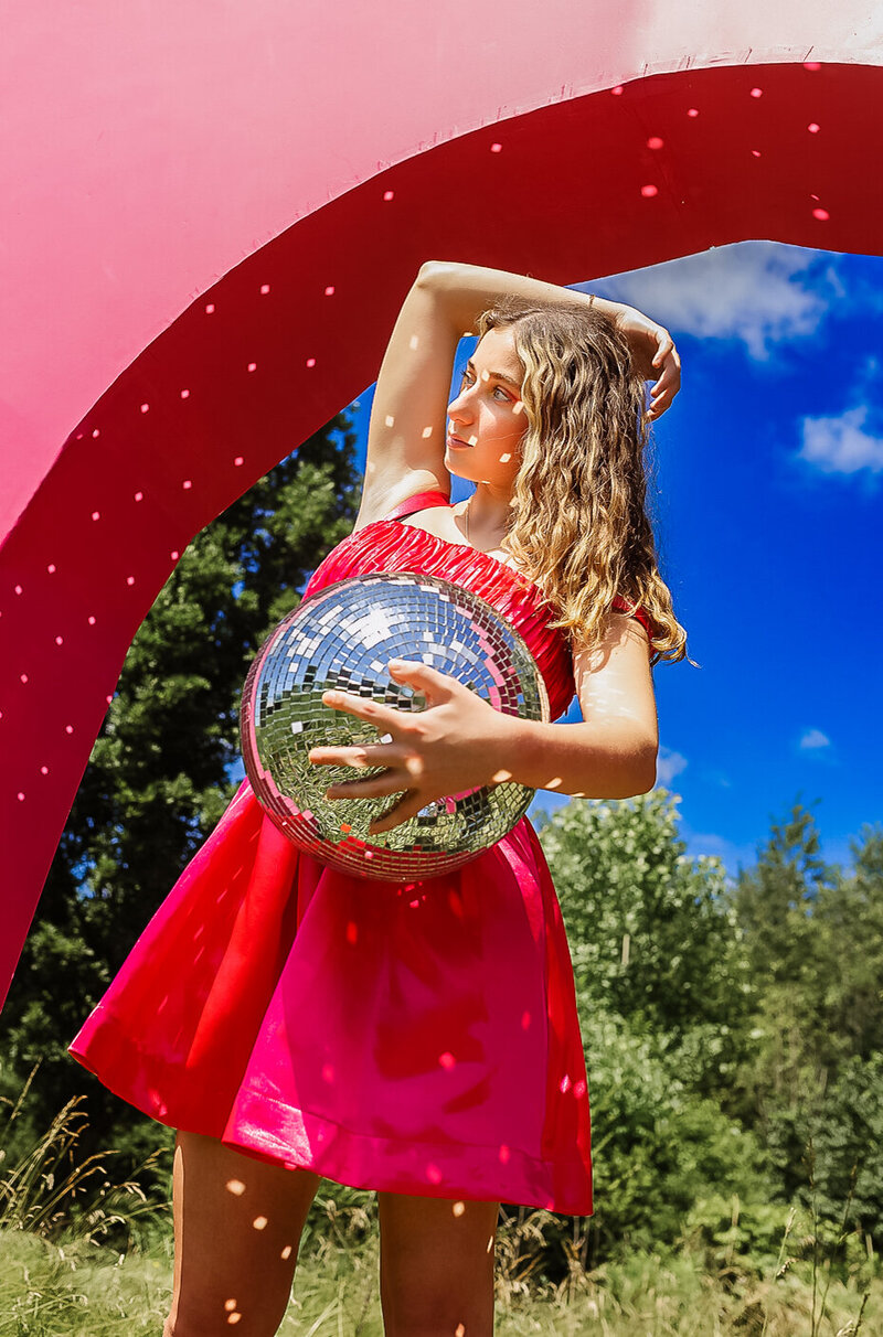 Flock_Model_Team-1-2