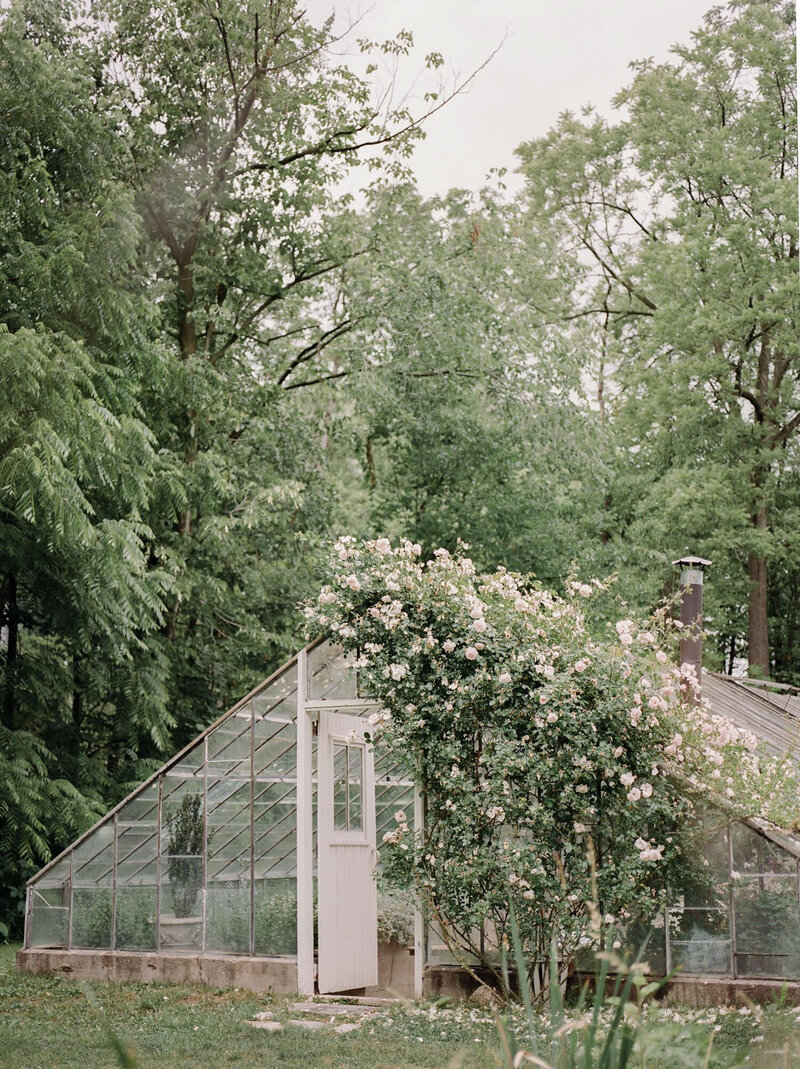 Glass greenhouse wedding venue in Grand Rapids, West Michigan, garden wedding venue with abundant pink roses