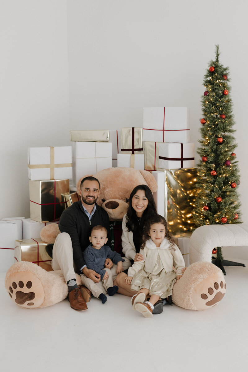 stonum family christmas 2024