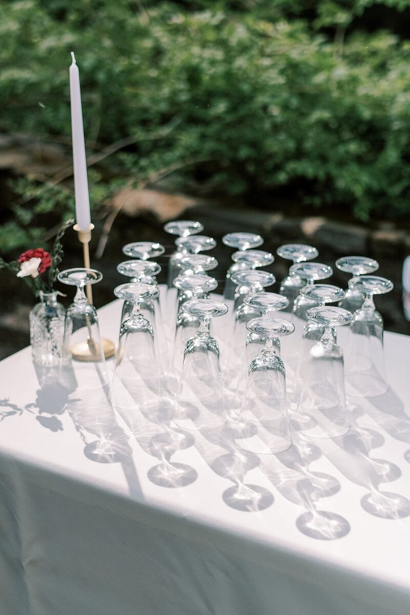Douglas Ellington House Asheville Wedding Photographer (59)