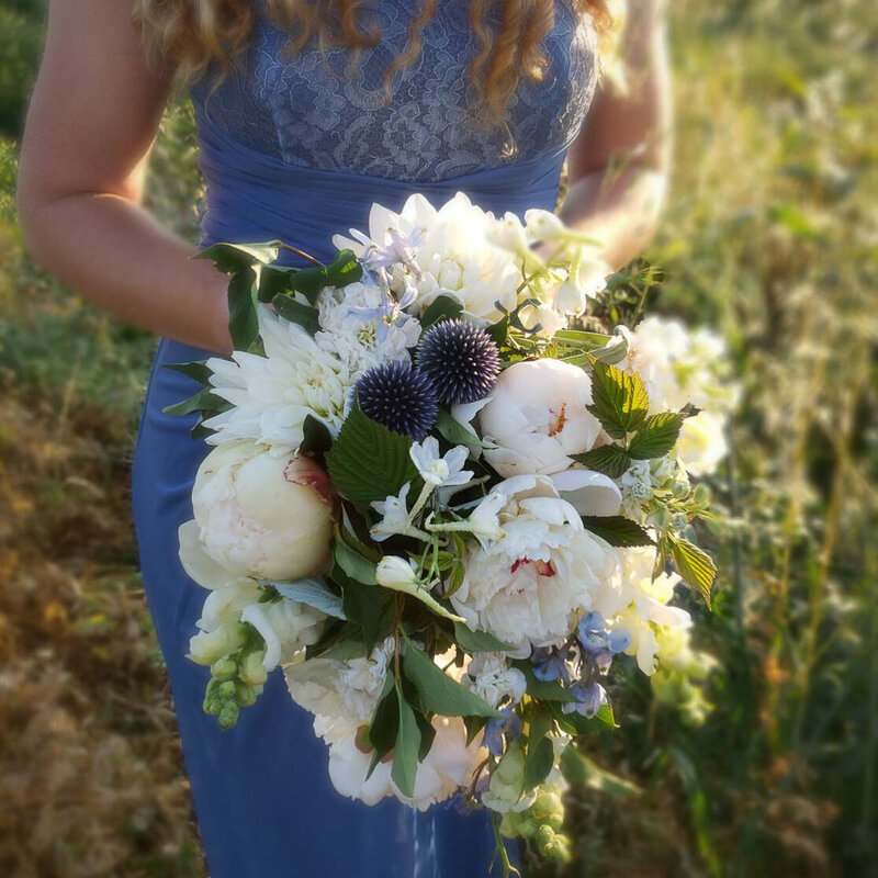 BeeHaven Flower Farm Bonners Ferry Idaho Floral Florals Classes Workshops Farm Stand Fresh Cut Flower Bouquets All Occasion Flowers Weddings Events Wedding Funeral Sympathy Grower Growing Farmer 3