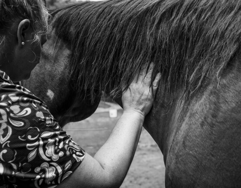 Equine Bodywork Hands on Horse's Neck