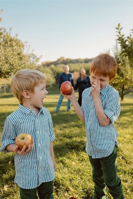 brothers stand facing camera holding apples and giggling with each other as parents look on in background at alber orchard in manchester michigan