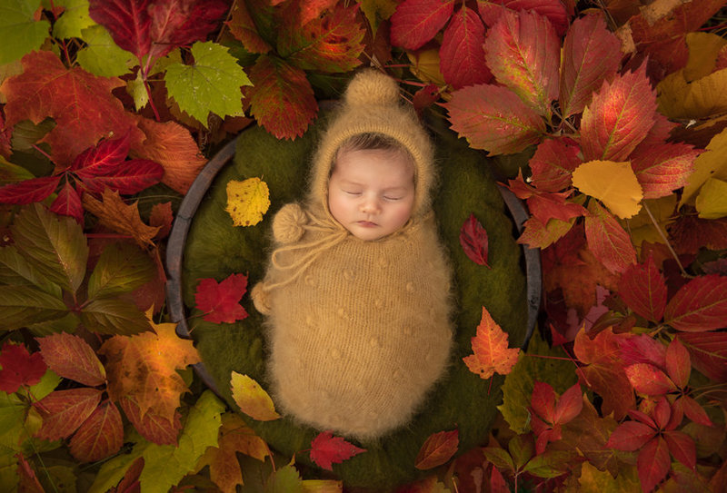 "Sleeping newborn baby wrapped in soft fabric, peacefully resting amidst vibrant autumn leaves, captured in a cozy and whimsical fine art newborn photography session in Ottawa."