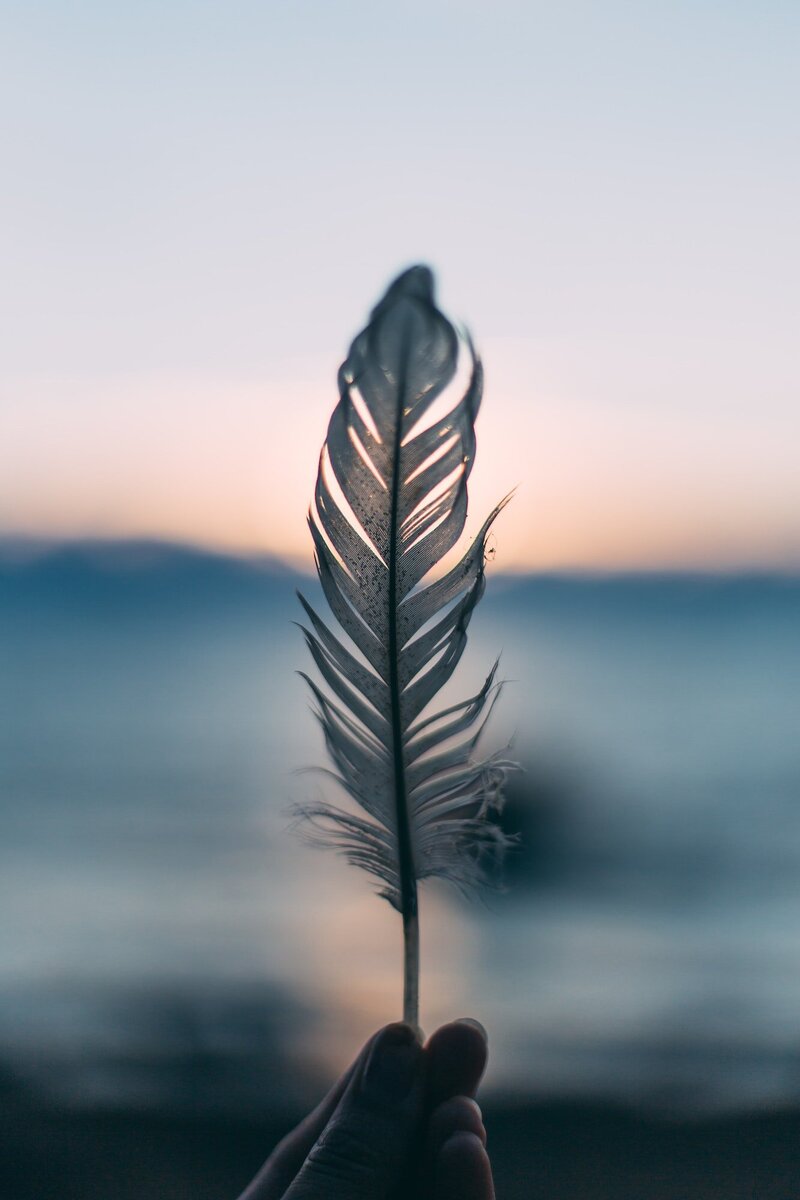 Holding a feather in the sunset.