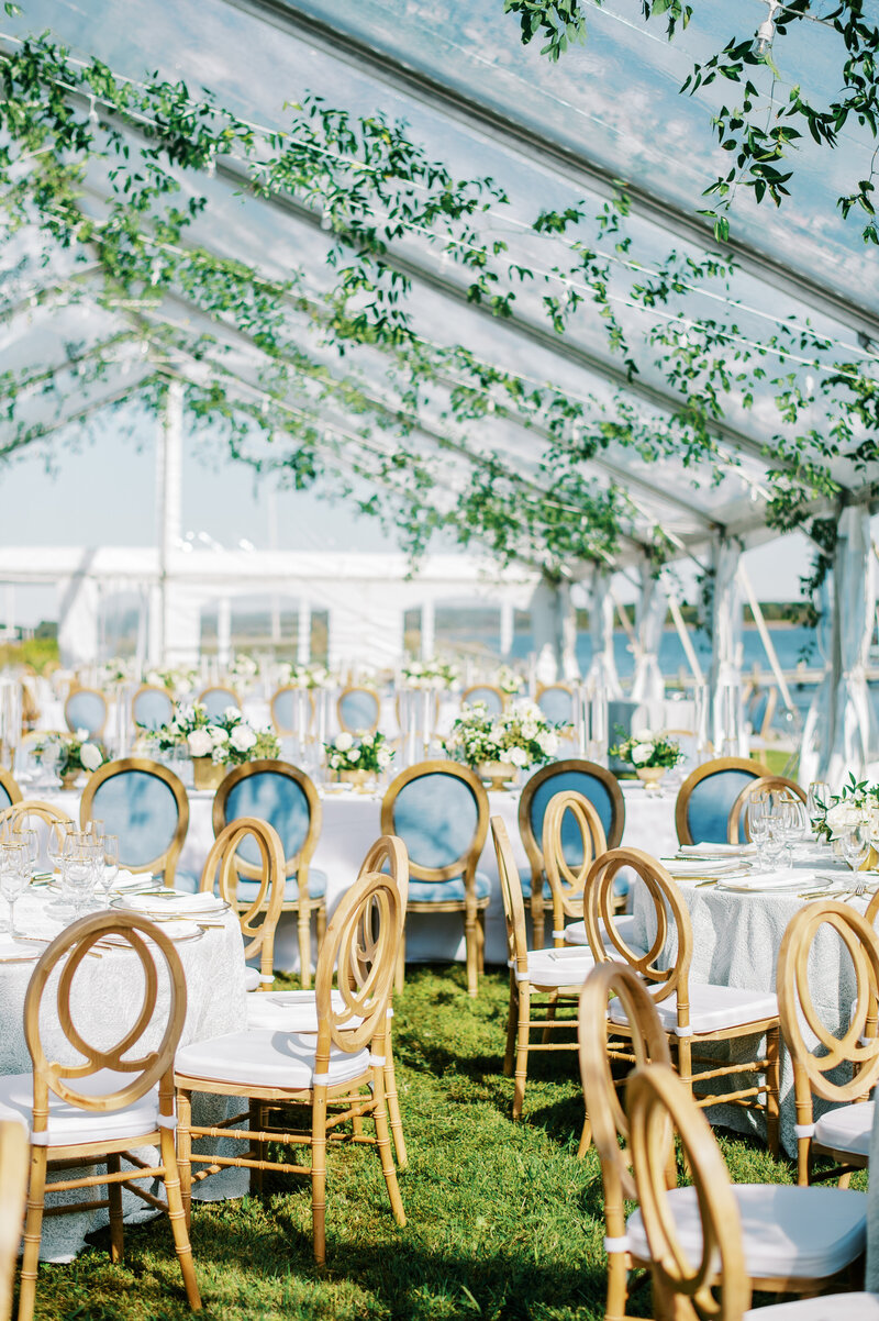 A cleartop tent draped in greenery with blue signature chairs at a variety of round and rectangular tables set for a reception