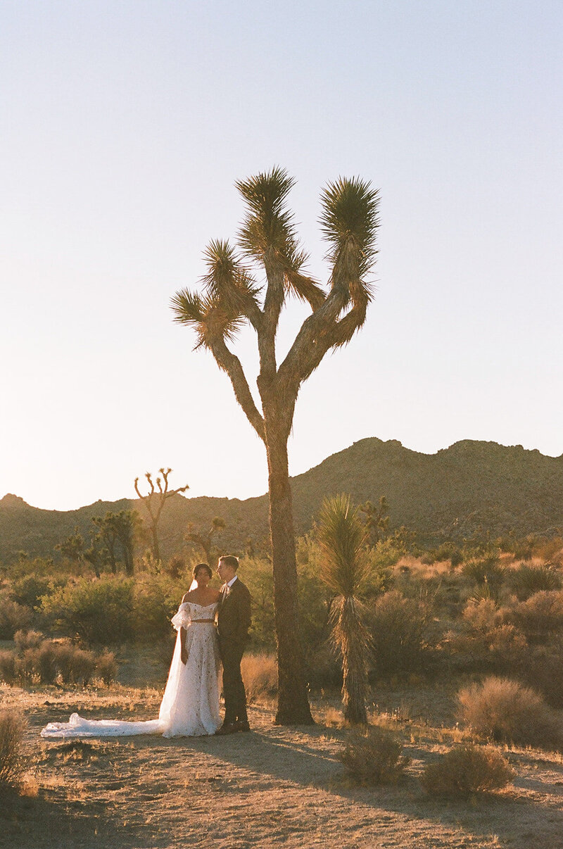Bride and groom taking romantic portraits at Le Chacuel 
