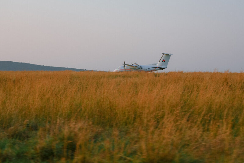 safariedited-240