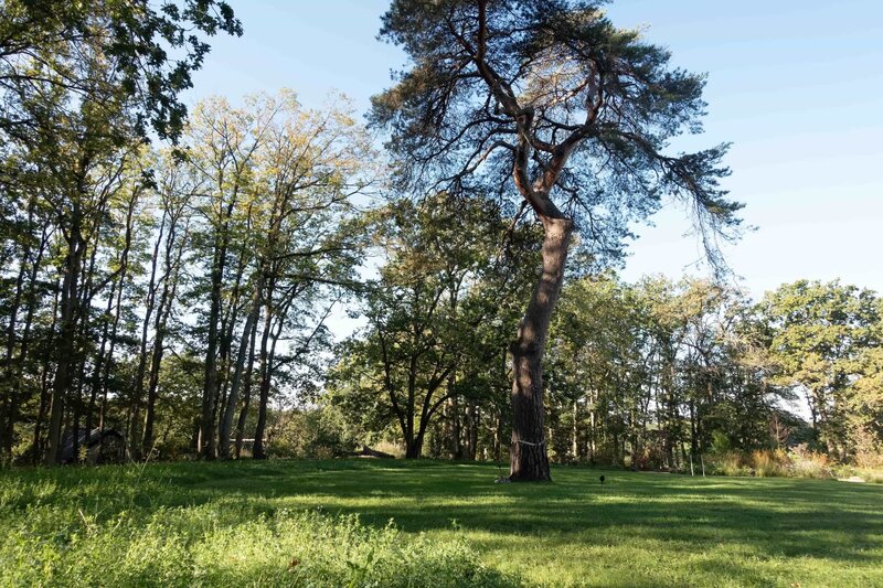 horus-paysages-architecte-paysagiste-parc-foret-de-rambouillet-12