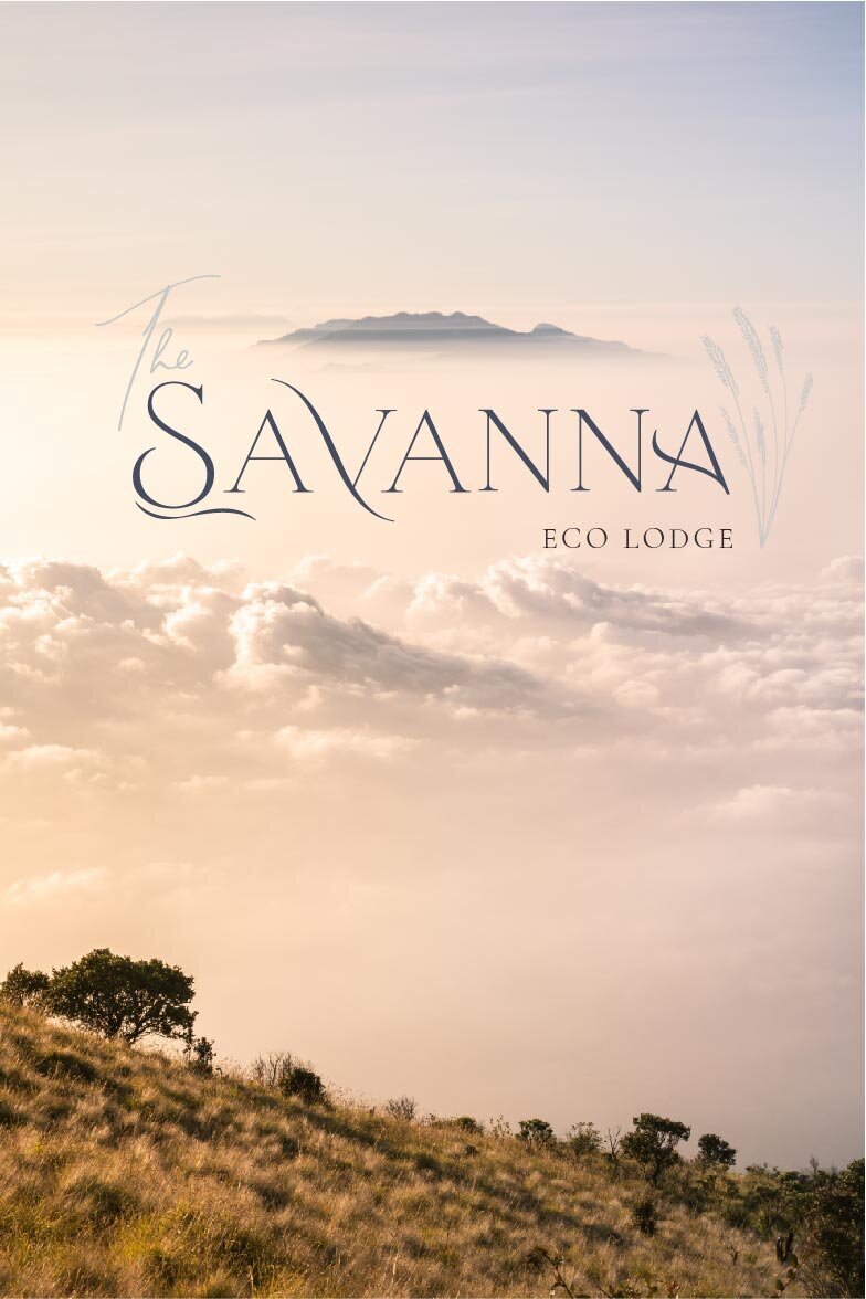 Savanna brand kit