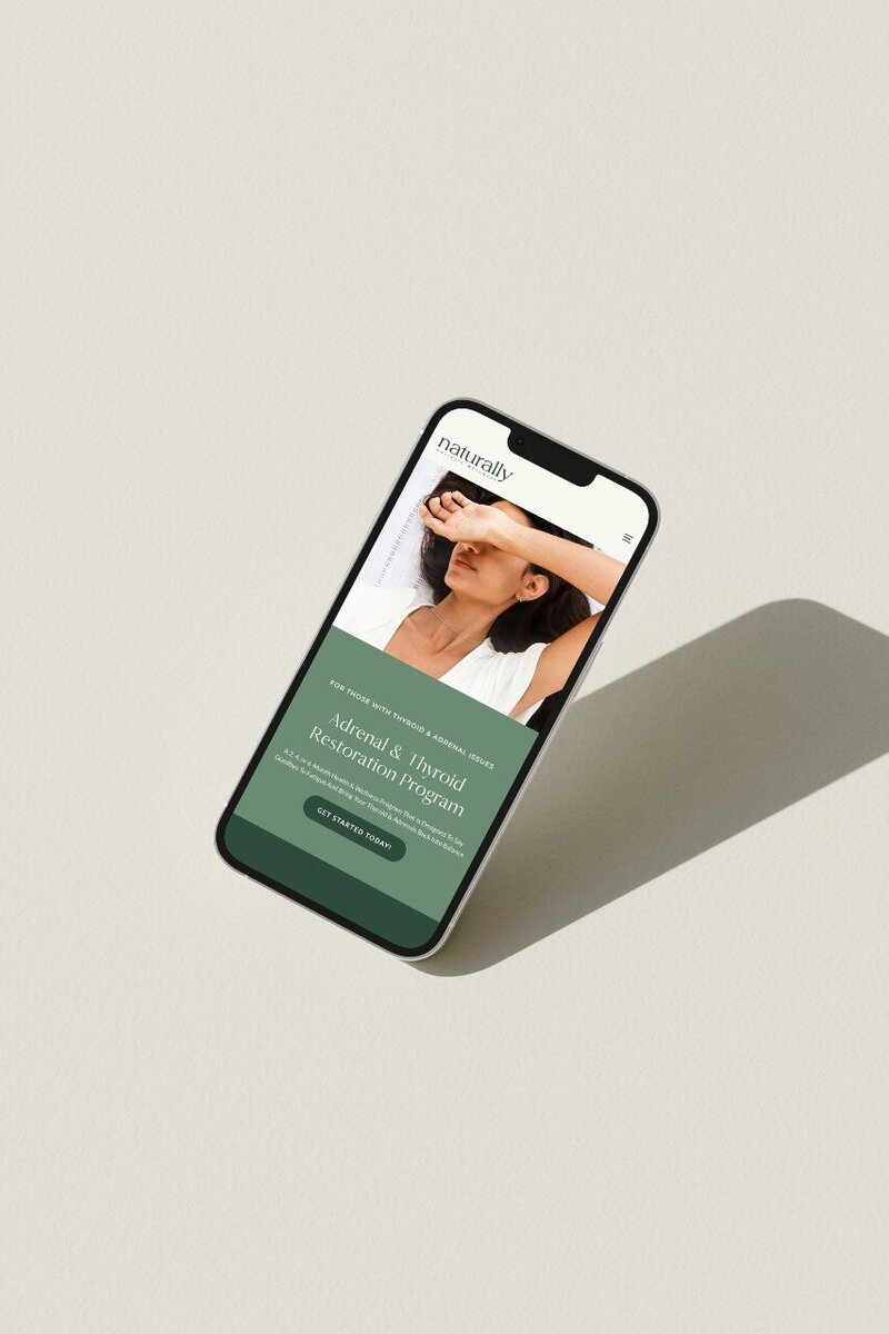 NHW iphone mockup the brand influence portfolio