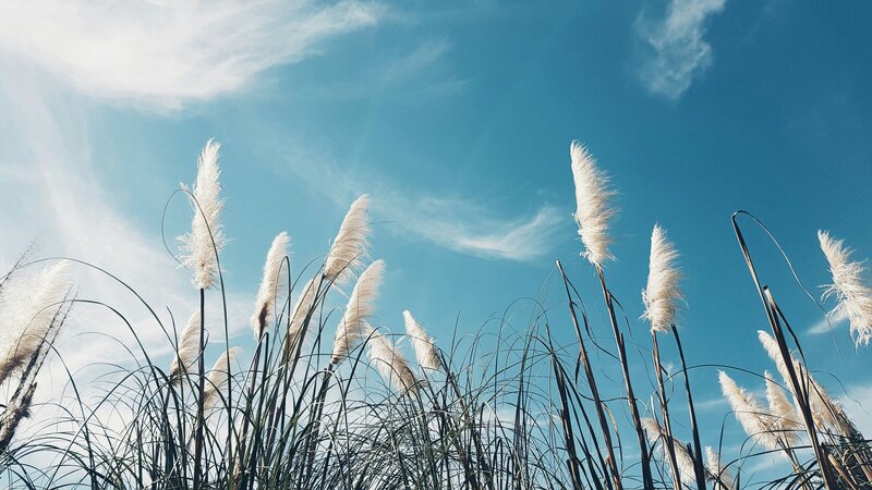 vlad-kutepov-5paRSKtn6rc-unsplash