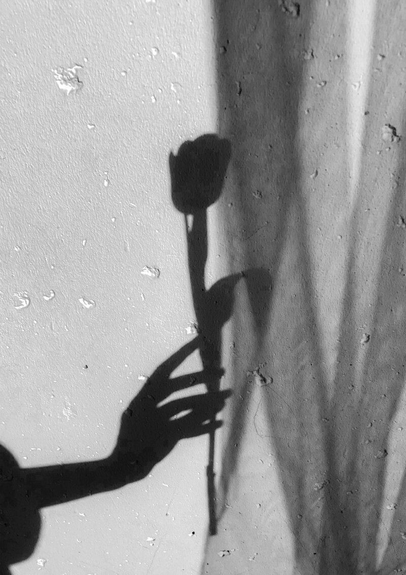 Black and white image of women's hand holding a tulip flower