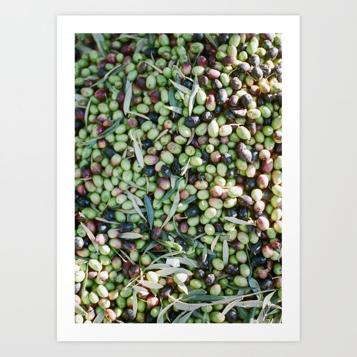 travel-photography-mixed-olives-shot-in-morocco-botanical-prints