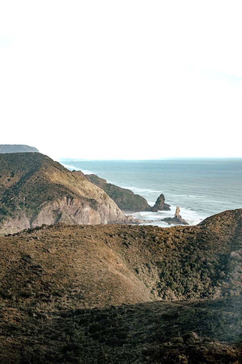 Bride-to-be embracing fiancé on hilltop overlooking ocean during New Zealand engagement shoot, photographed by Zanthe Vorsatz.