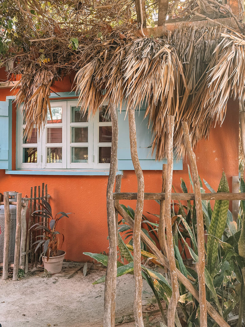 Michelle away in Caye Caulker Belize