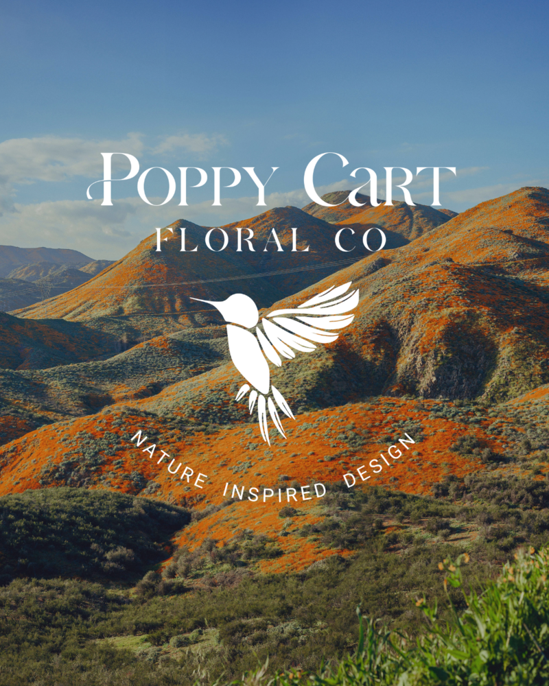 Romantic, feminine, colorful branding for a wedding florist based in central California.
