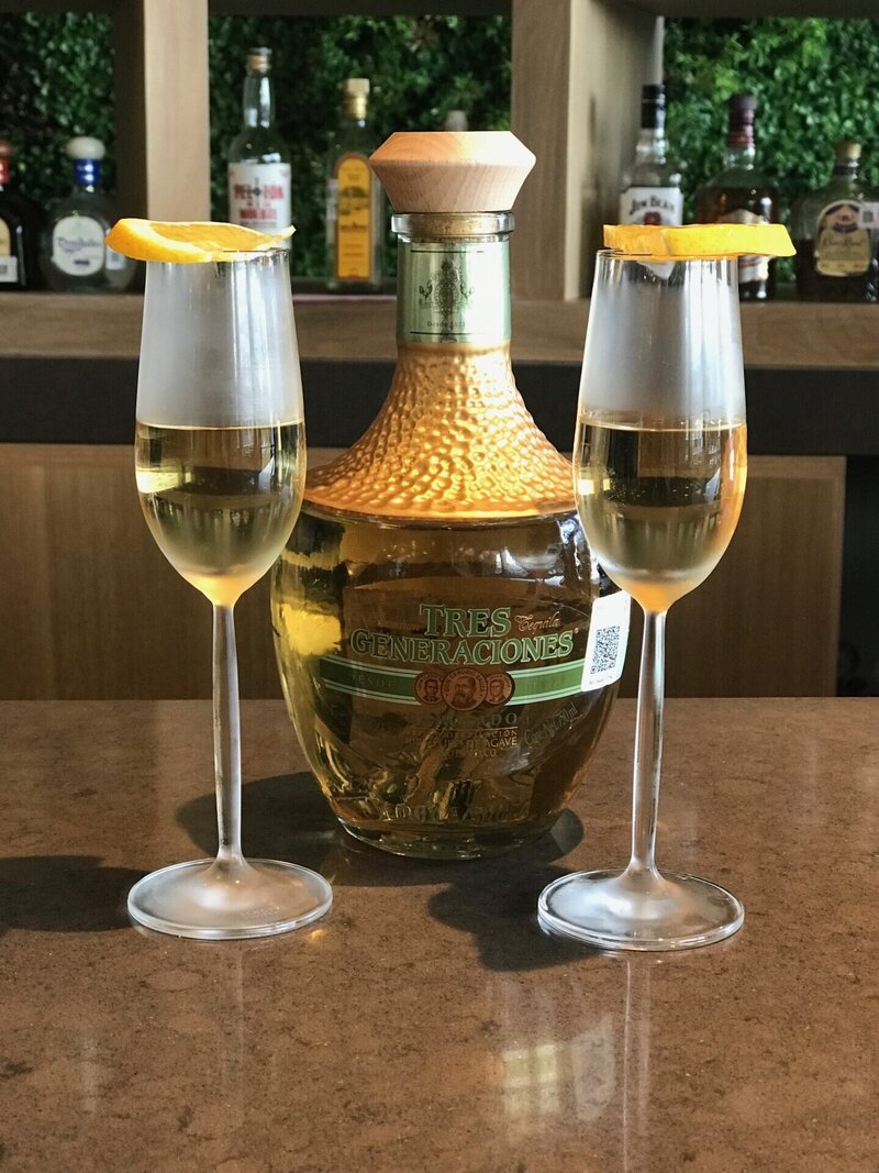 A drink in a wine glass with lemon on top