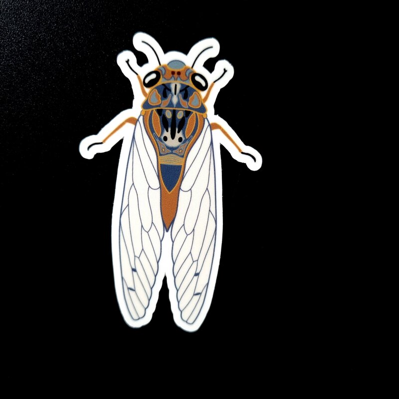 Add a bit of natural charm to your world with this 75mm cicada sticker. Crafted from high-quality vinyl with a weatherproof, scratch-resistant finish, it’s perfect for both indoor and outdoor use. Stick it to your laptop, journal, toolbox, or drink bottle—this durable little bug will hold strong while showing off your love of nature and beautifully detailed design.