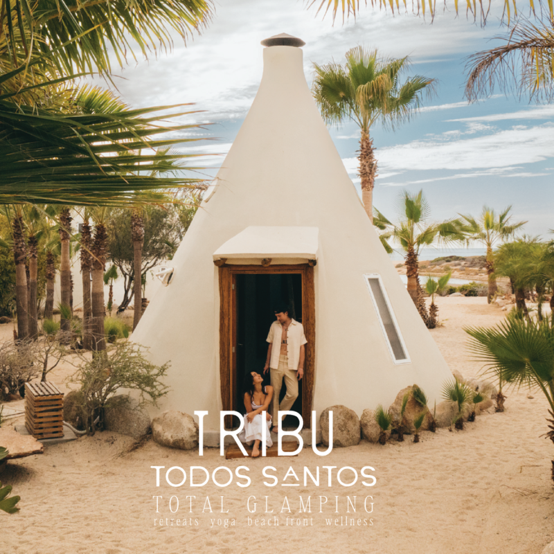 TRIBU LOGOS-17