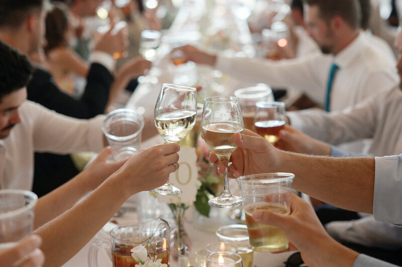 Wedding guests cheering and clinking glasses captured by a La Jolla wedding photographer.