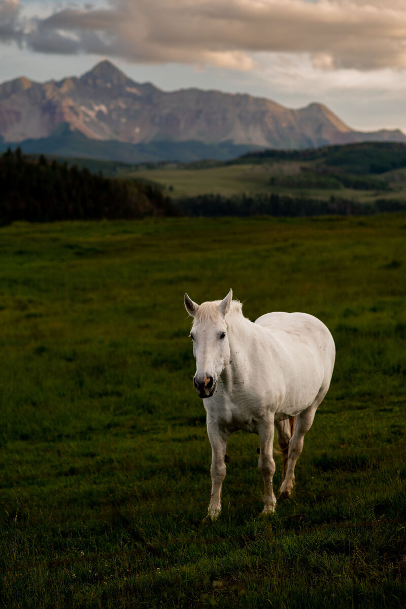 KateSeymourPhotography-Telluride-163
