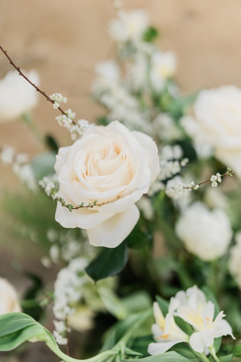 Minneapolis Senior Photographer | Senior Portrait Experience, image size:800x1200